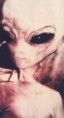 Piccolo Grigio di Zeta Reticuli